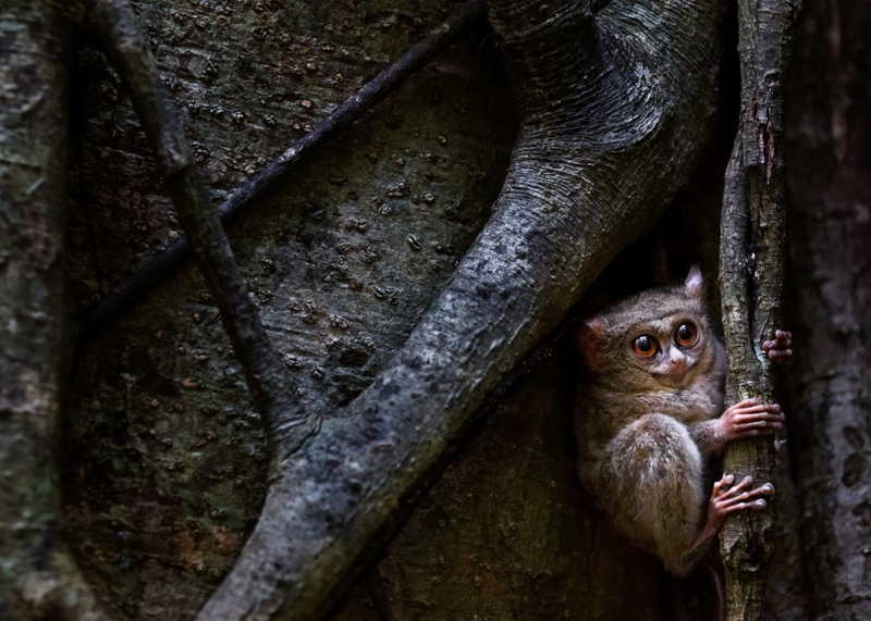 Illustration for article titled The Best Biology Photos Of 2014 Will Take You To Another World